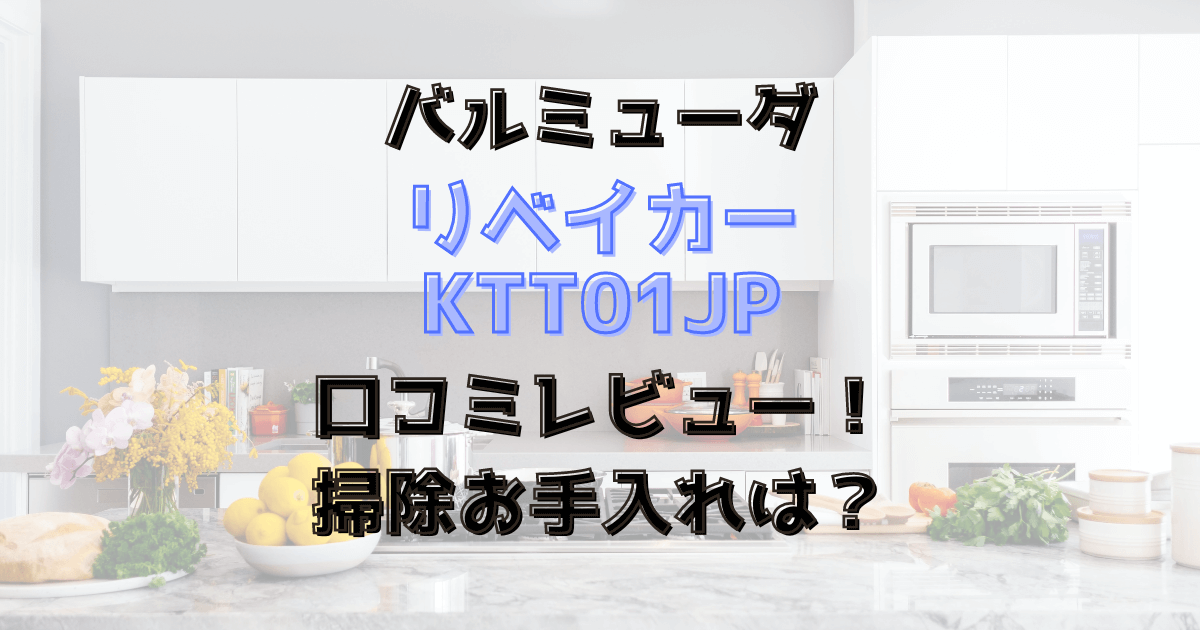 リベイカーの口コミレビュー！掃除お手入れは？バルミューダ